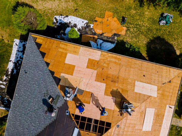 Best Affordable Roof Replacement  in Mount Olive, IL