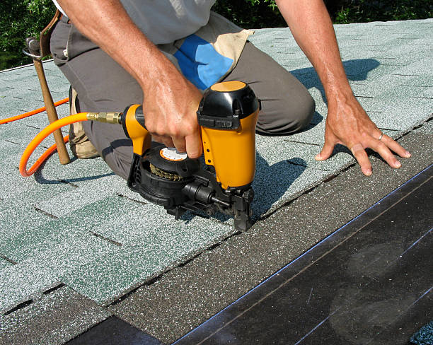 Best Roof Leak Repair  in Mount Olive, IL