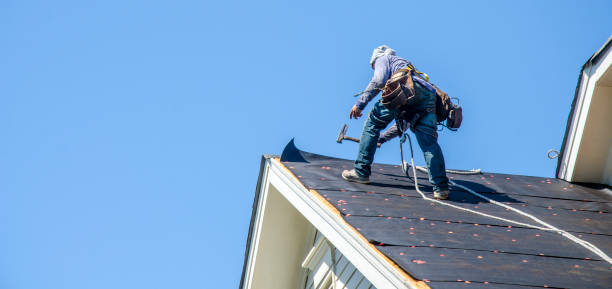 Best Roof Leak Repair  in Mount Olive, IL